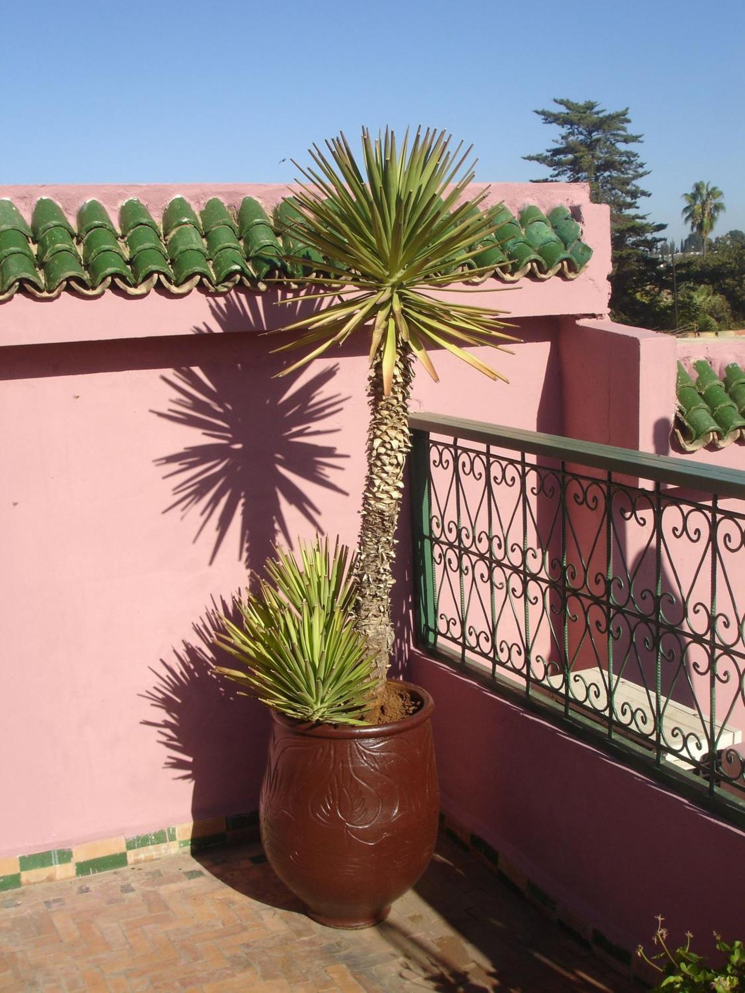 Riad Lahboul Meknès Exteriör bild