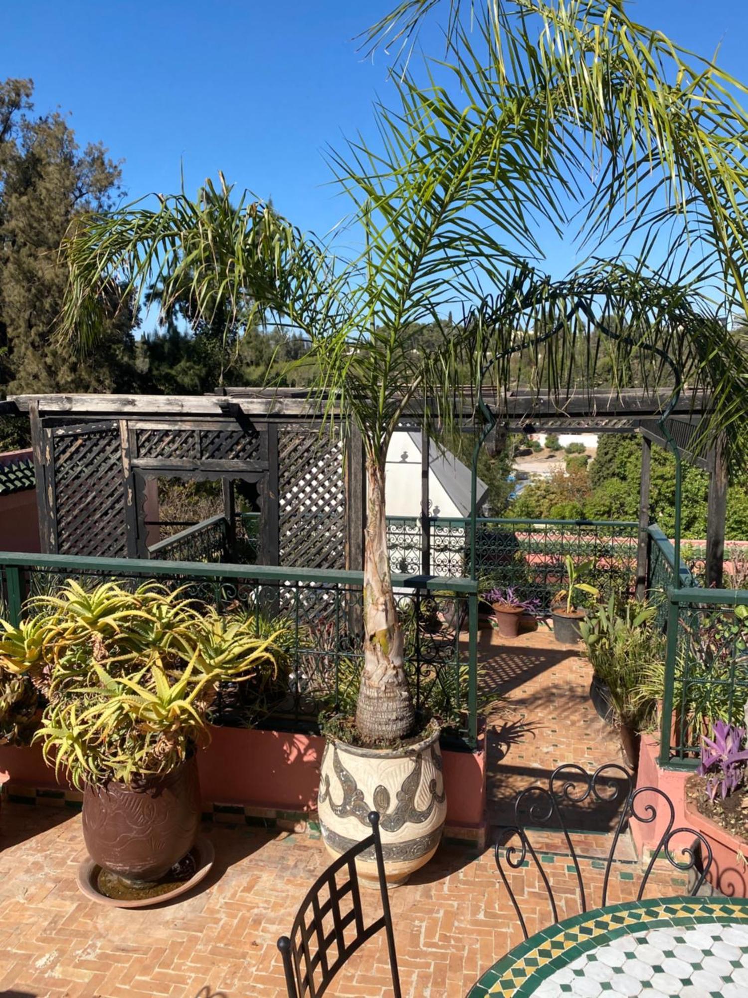 Riad Lahboul Meknès Exteriör bild